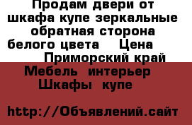 Продам двери от шкафа купе зеркальные обратная сторона белого цвета. › Цена ­ 8 000 - Приморский край Мебель, интерьер » Шкафы, купе   